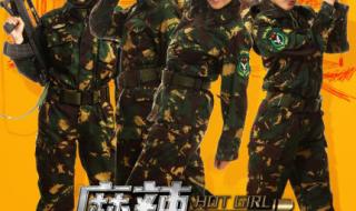 麻辣女兵演员表介绍 麻辣女兵演员表介绍